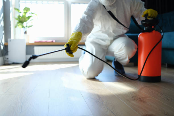 Reliable Odor Removal contractor in Richmond, UT by Trauma Clean Pros